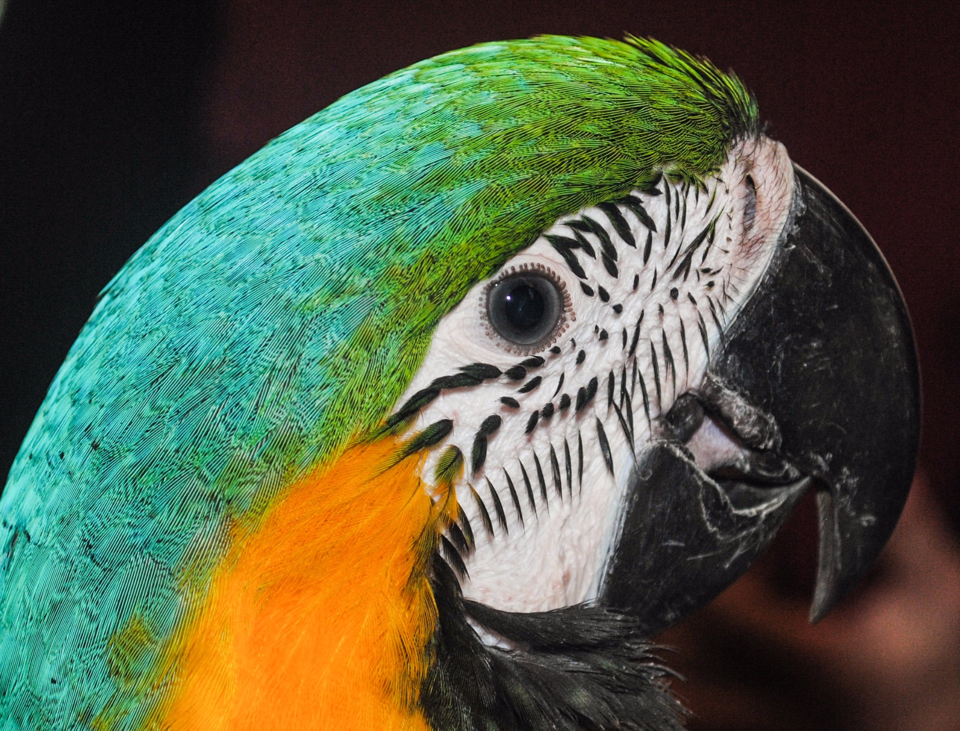 Fotografia ocenená na 21 eur - Vaša cena na dohodu s fotografom