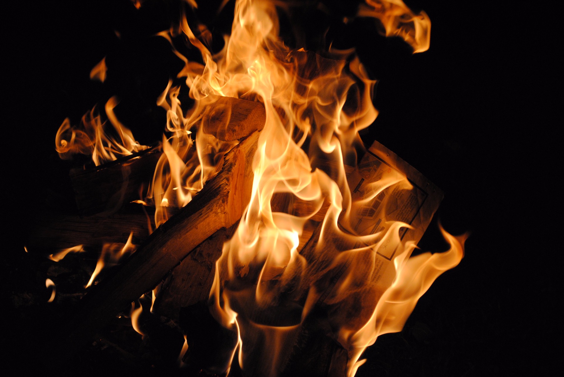 Fotografia ocenená na 50 eur - Vaša cena na dohodu s fotografom