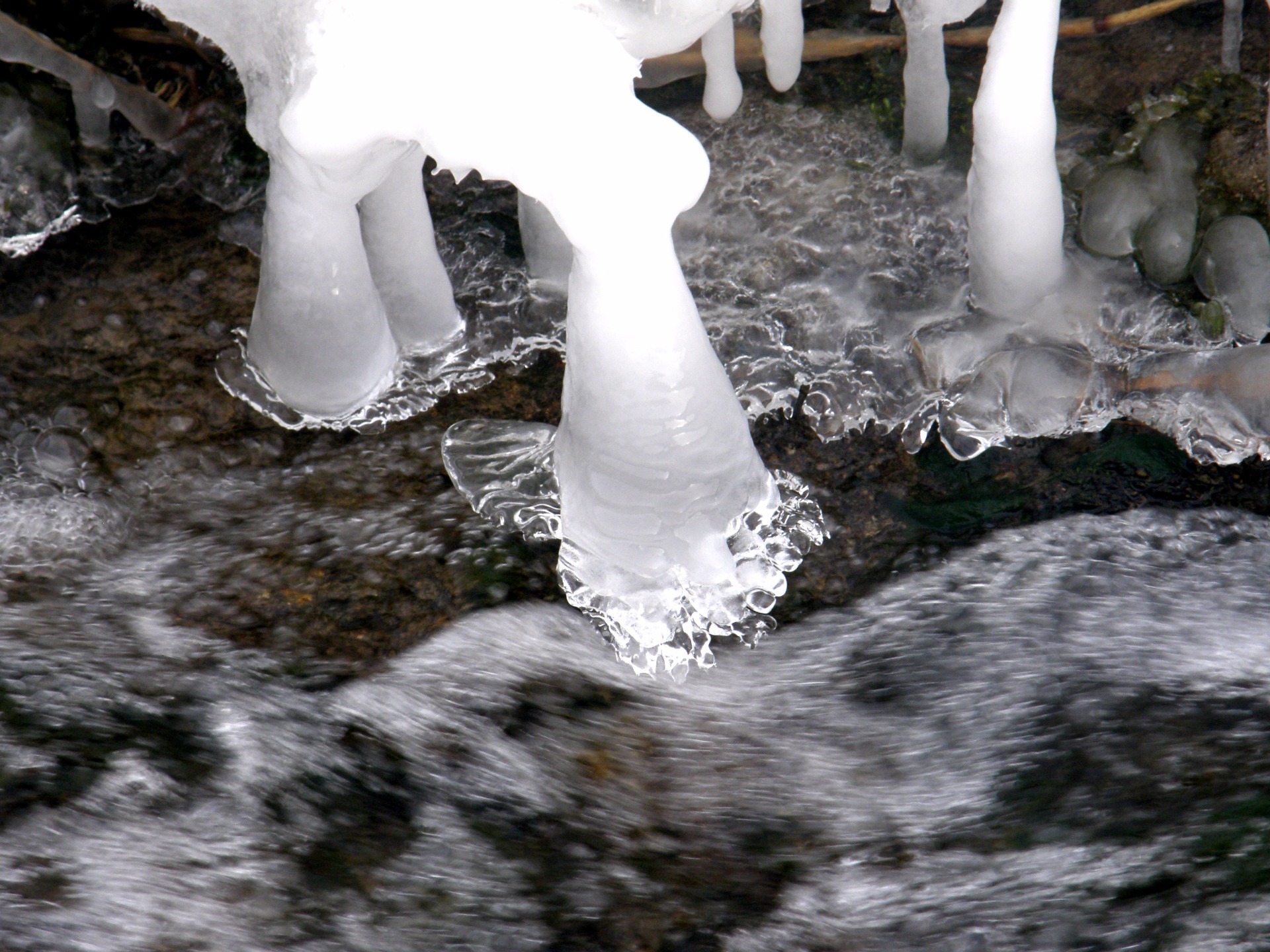 Fotografia ocenená na 80 eur - Vaša cena na dohodu s fotografom
